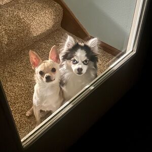 Meet your Posher, Stacey